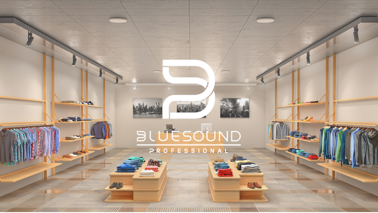 Bluesound Professional Introduces a New, Complete Stereo Solution ...