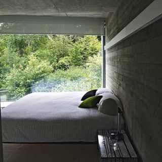 bedroom with pillows on bed and greener outer side
