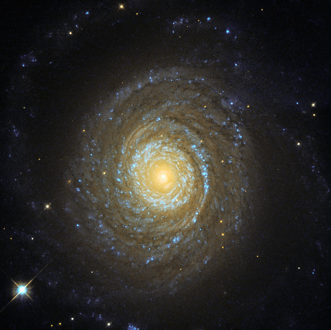 Galaxy NGC 6753