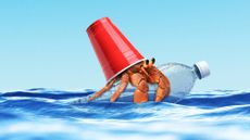 Illustration of a hermit crab with a plastic cup for a shell floating on a plastic bottle in the ocean