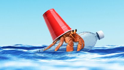 Illustration of a hermit crab with a plastic cup for a shell floating on a plastic bottle in the ocean