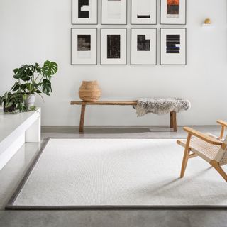 Grey carpet with large light grey rug and contrasting trim on top, wooden chair and wall prints on top of grey wall