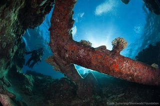 australia shipwrecks