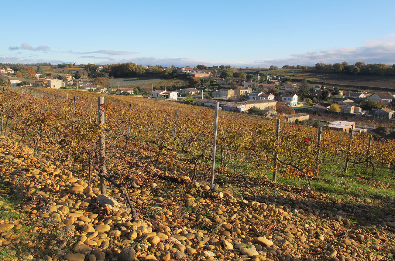 Classic-galets-roules-of-AOC-Saint-Andeol-with-Saladin-in-distance.jpg