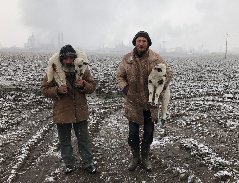 Photograph of Transylvanian shepherds shot on iPhone 7 in Targu Mures, Transylvania, Romania