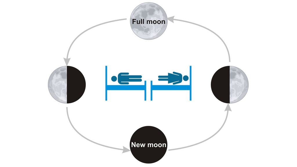 Men s Sleep Patterns Are Most Affected By The Moon Say Scientists