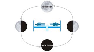 Diagram representing cycles of the moon