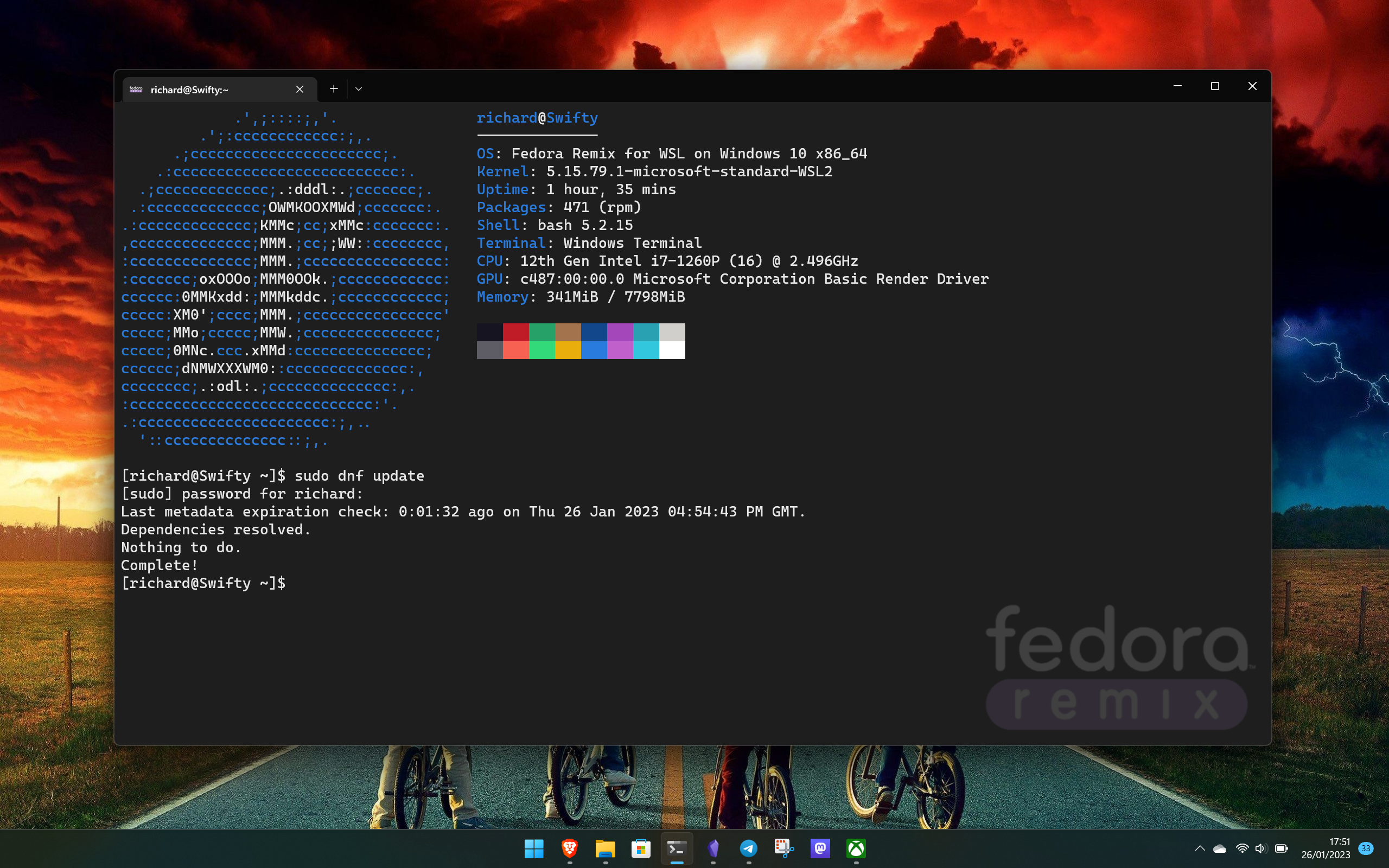 Fedora Remix для WSL в Windows 11