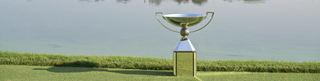 The FedEx Cup