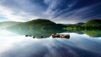 Serene lake surrounded by lush green hills under a blue sky with wispy clouds, featuring rocks and a log gracefully floating