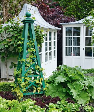 A vegetable garden with plant support and white greenhouse