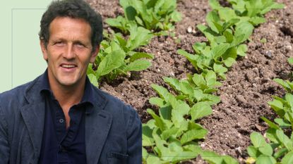 cut out of monty don layered over picture of rows of seedings in dirt