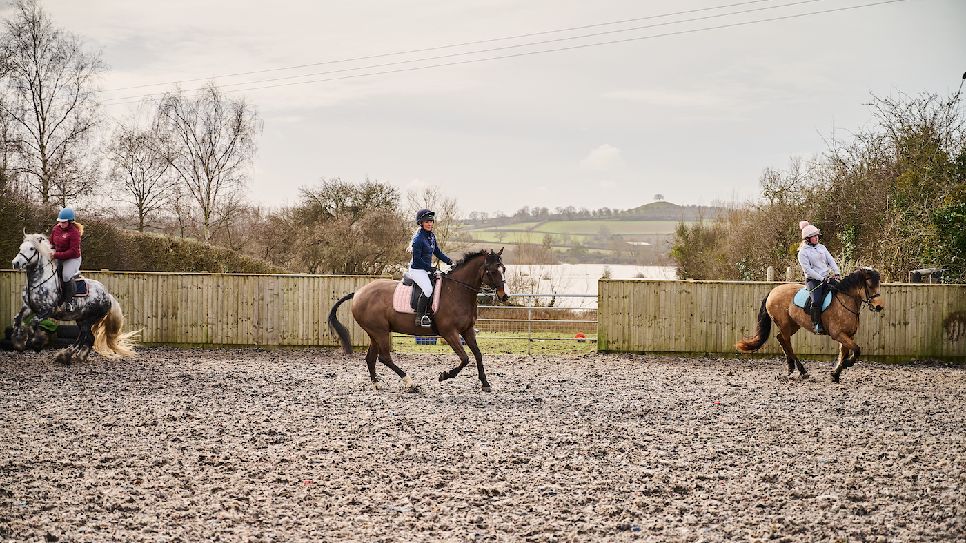 Three horses being ridden in same arena: practice for preparing horse for show ring
