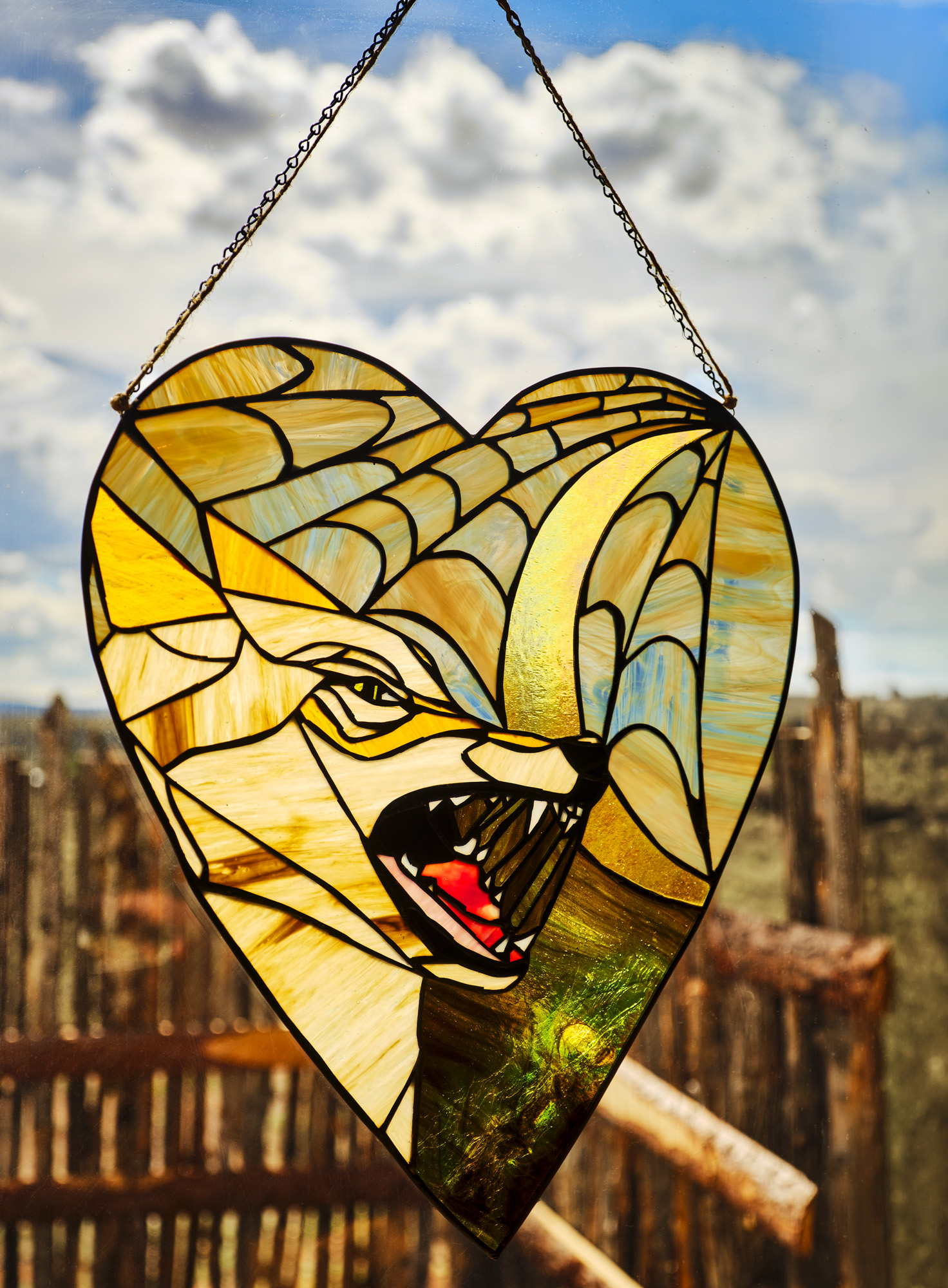 Coyote house features