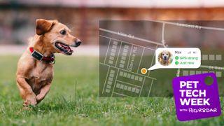 best pet trackers