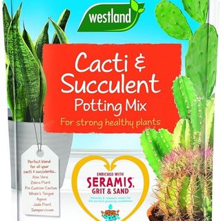 Westland cacti and succulent potting mix