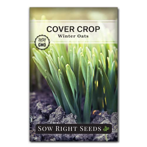 Sow Right Seeds - Winter Oats Seed for Planting Cover Crops Garden