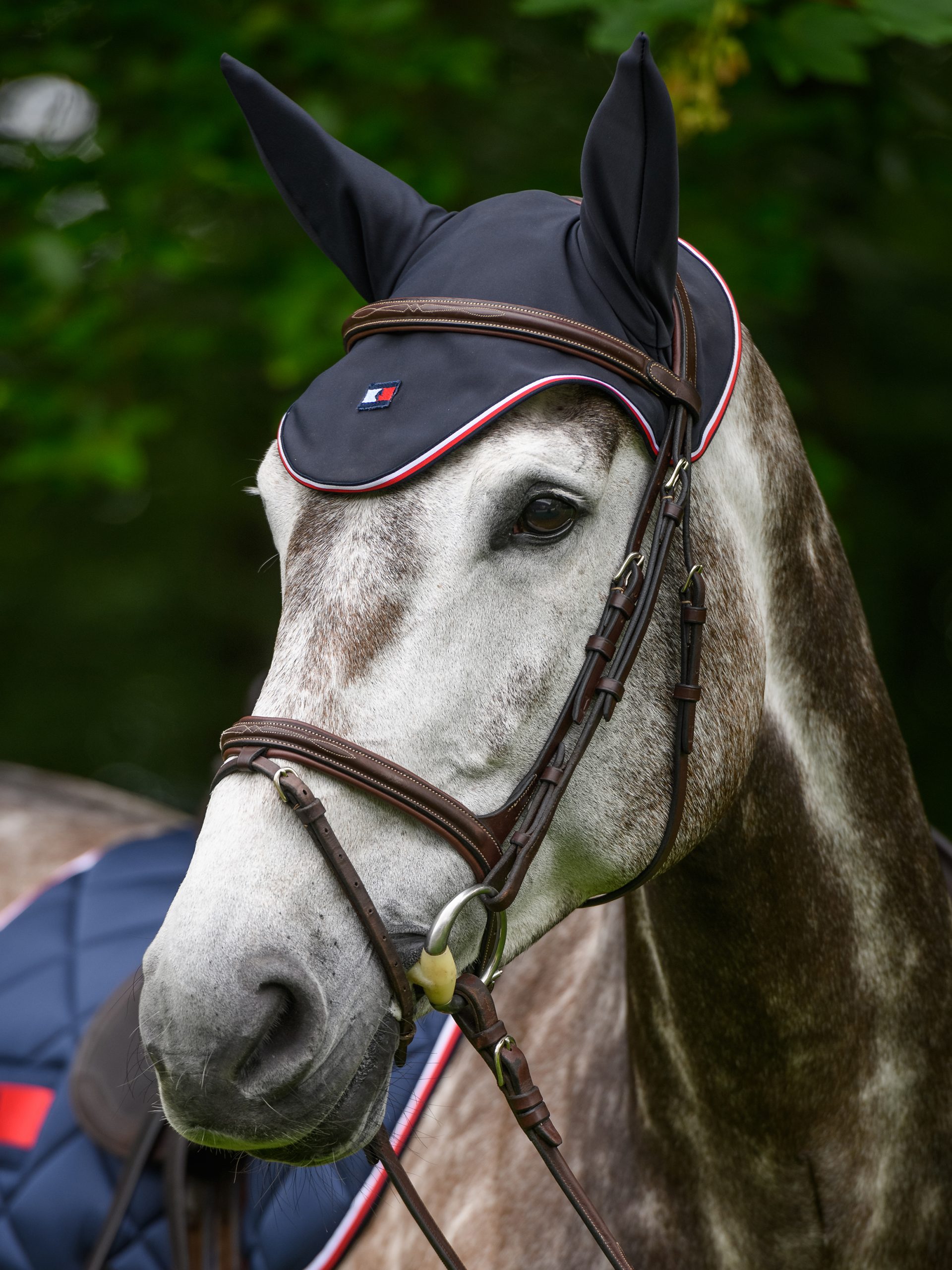 Tommy Hilfiger Equestrian fly veil