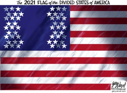Editorial Cartoon U.S. United States division flag