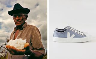 Two images, Left- a man in a hat holding cotton, Right- A blue and white sneaker