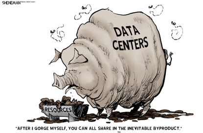 Political Cartoon