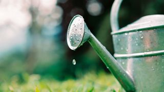 Sustainable gardening: image of watering can