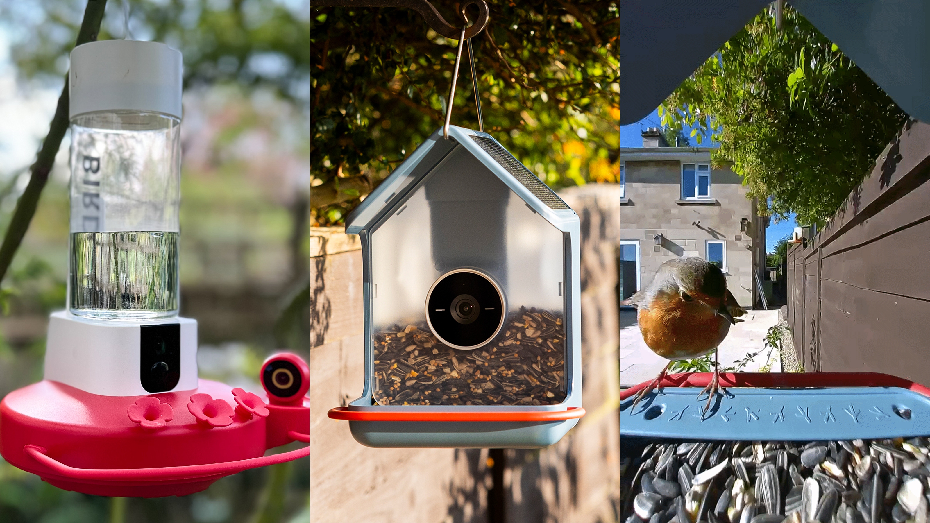 Two of the best bird feeder cameras and a robin in a garden