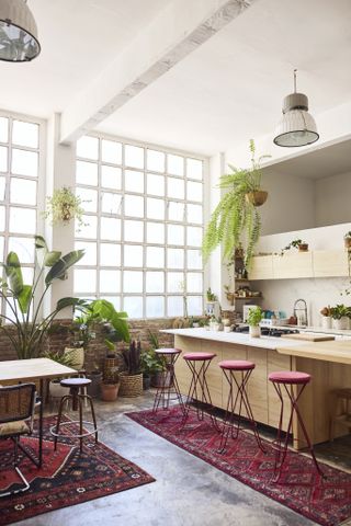 An open kitchen with plenty of houseplants