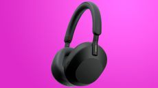 Sony headphones on a coloured background