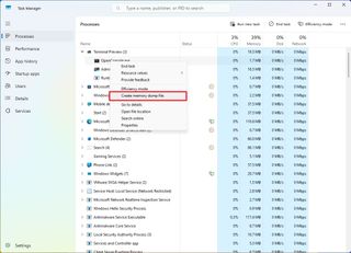 Task Manager create memory dump