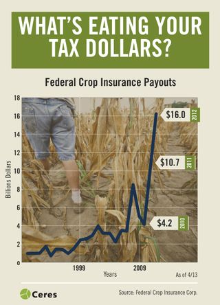 Federal Crop Insurance payouts have risen drastically in the last decade, reaching $16 billion in 2012.