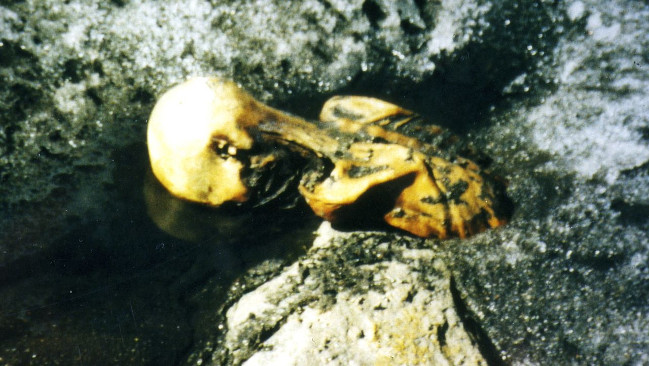 The remains of &Ouml;tzi the Iceman were found by tourists in an Alpine gully in September 1991. They thought it was the body of a recent mountaineer, but investigations showed he died about 5,300 years ago.
