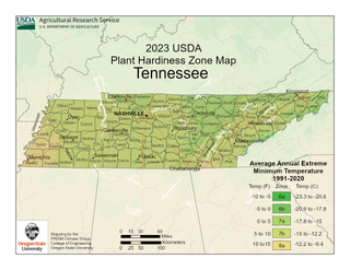 USDA Plant Hardiness Zone Map for Tennessee
