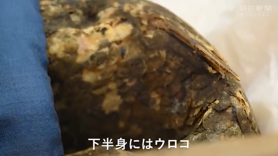 Haunting 'mermaid' Mummy In Japan Is Probably A Gruesome Monkey-fish ...