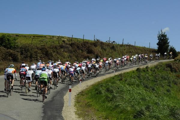 The peloton enjoy their day in the sun