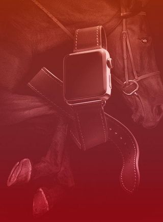 Apple Watch & Hermes