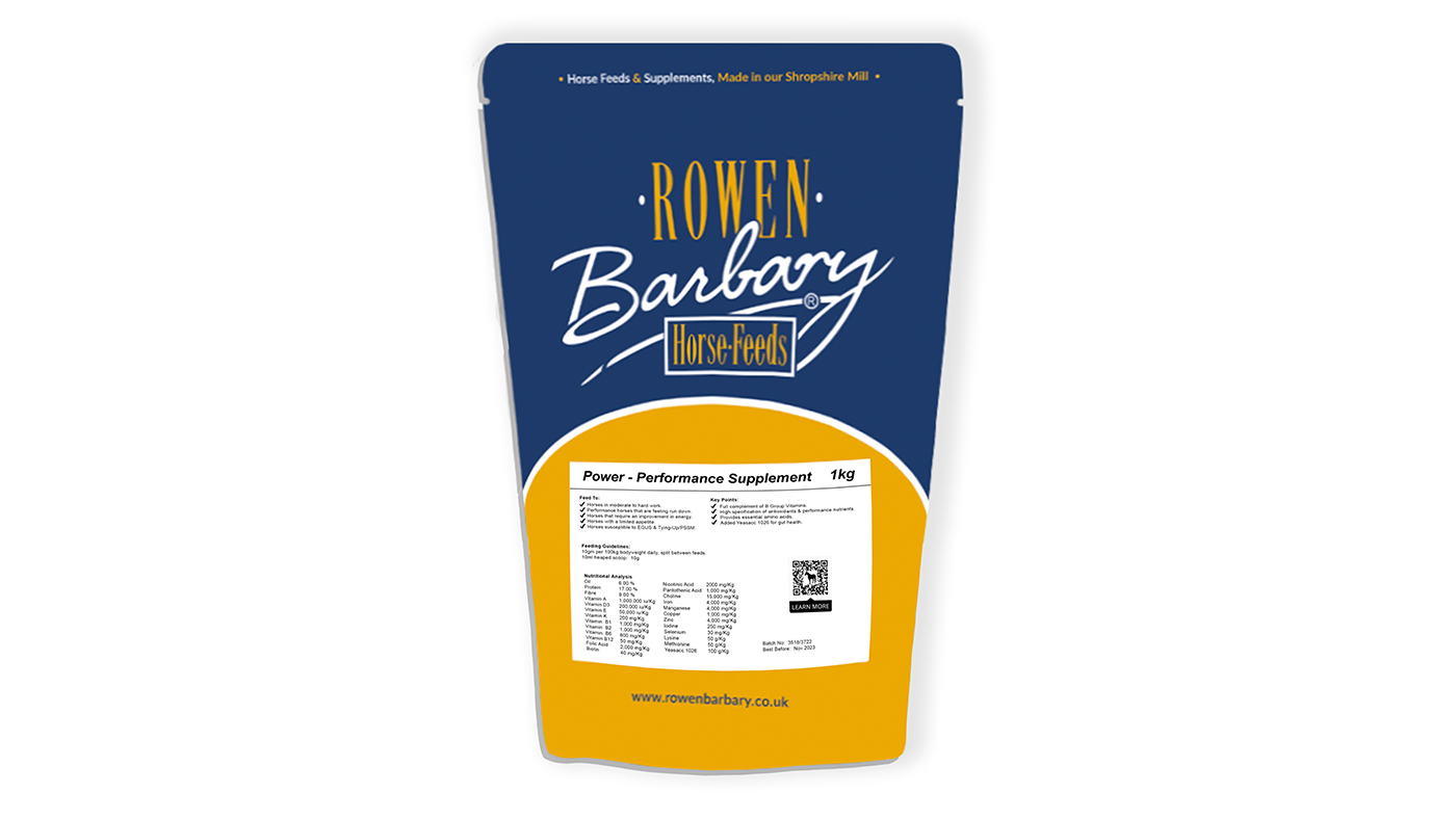 Rowen Barbary Power