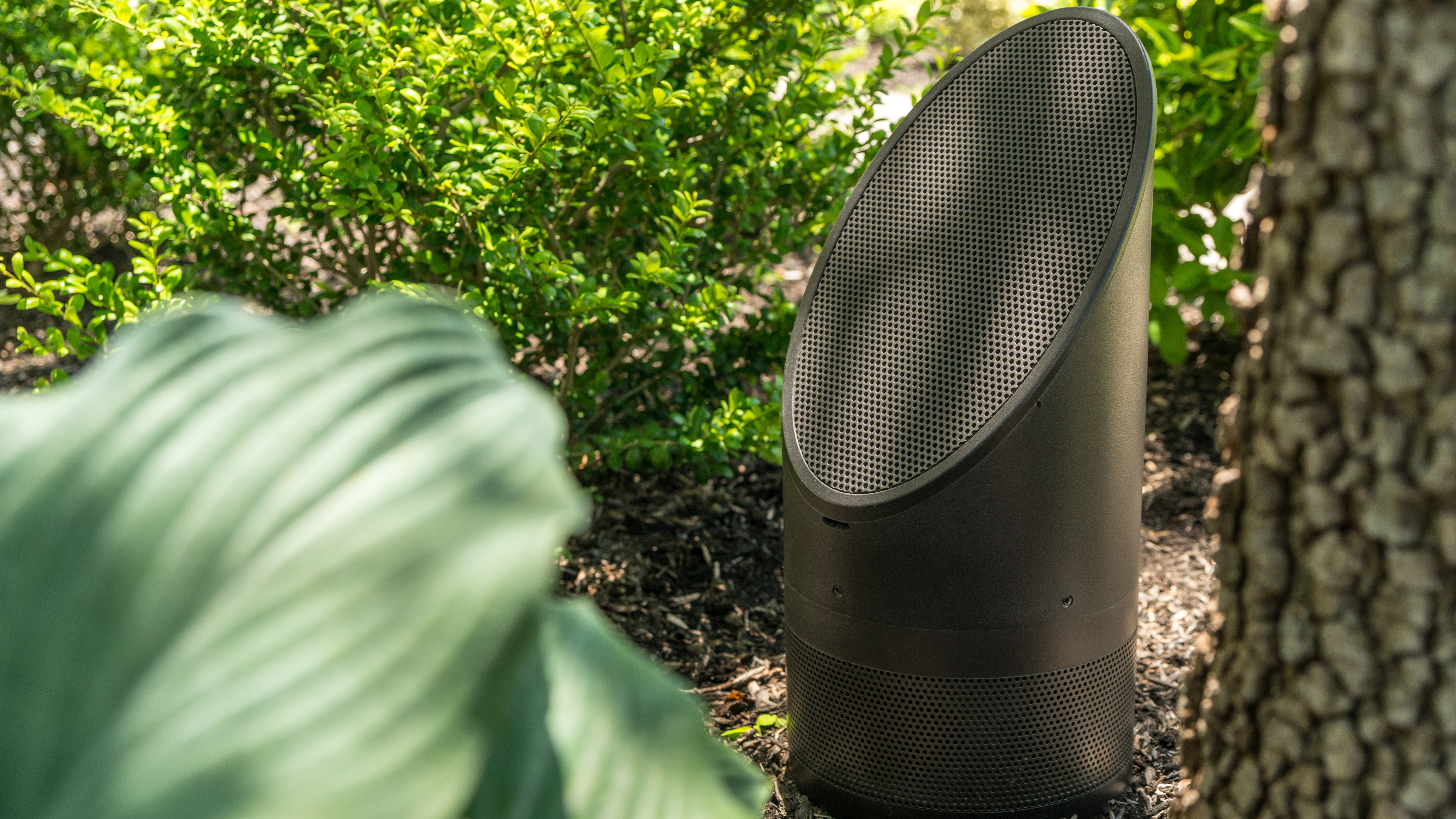 Coastal Source outdoor speakers in a woodsy environment.