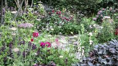 What having bats in the yard mean