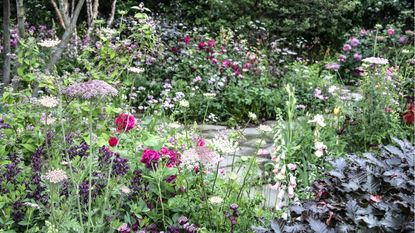 What having bats in the yard mean