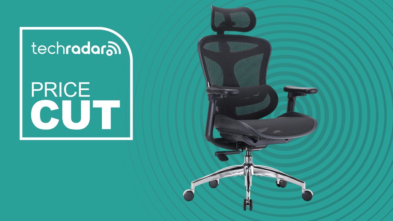 I've found the perfect new ergonomic chair for your office: SIHOO Doro C300 provides all-day comfort and it’s $300 right now