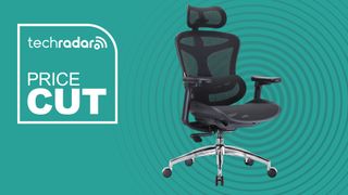SIHOO Doro C300 office chair