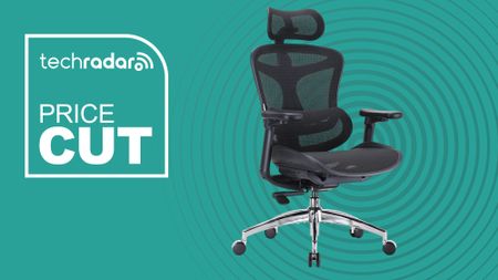 SIHOO Doro C300 office chair