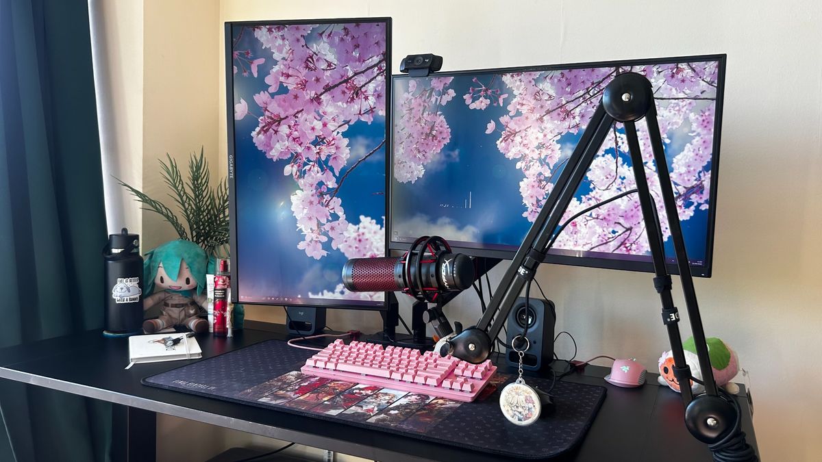 Mollie Taylor's desk