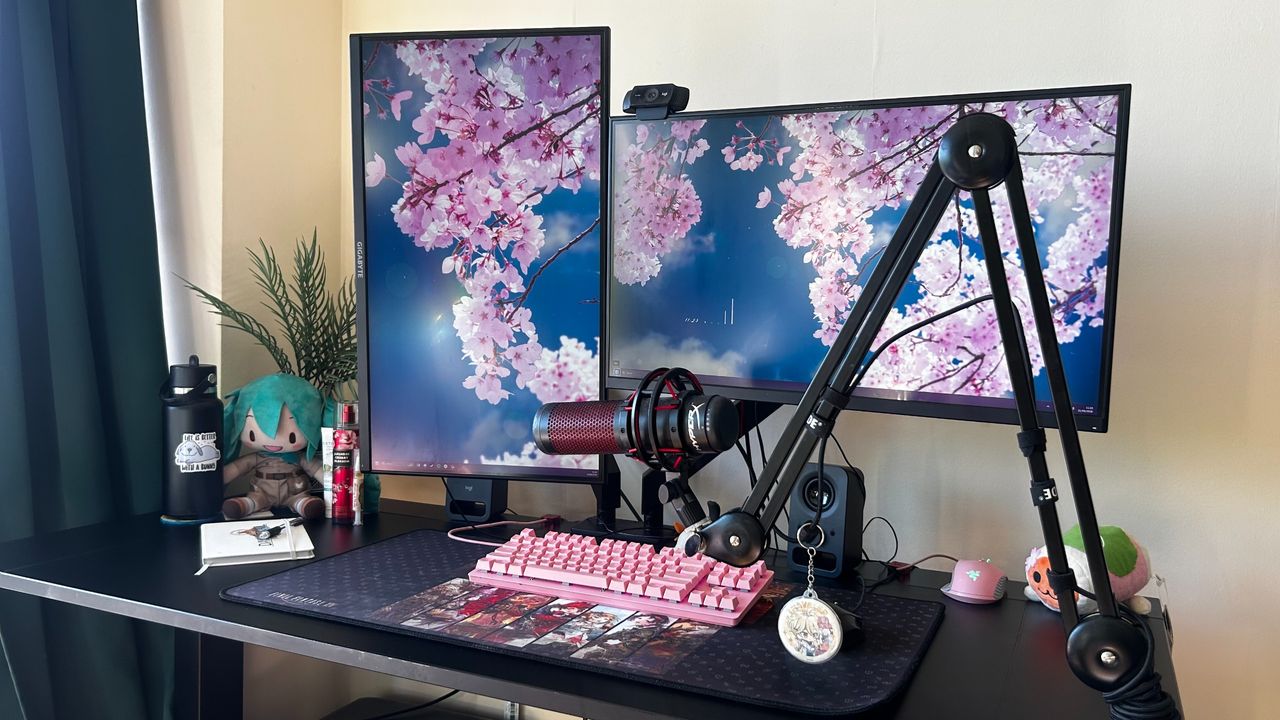 Mollie Taylor's desk