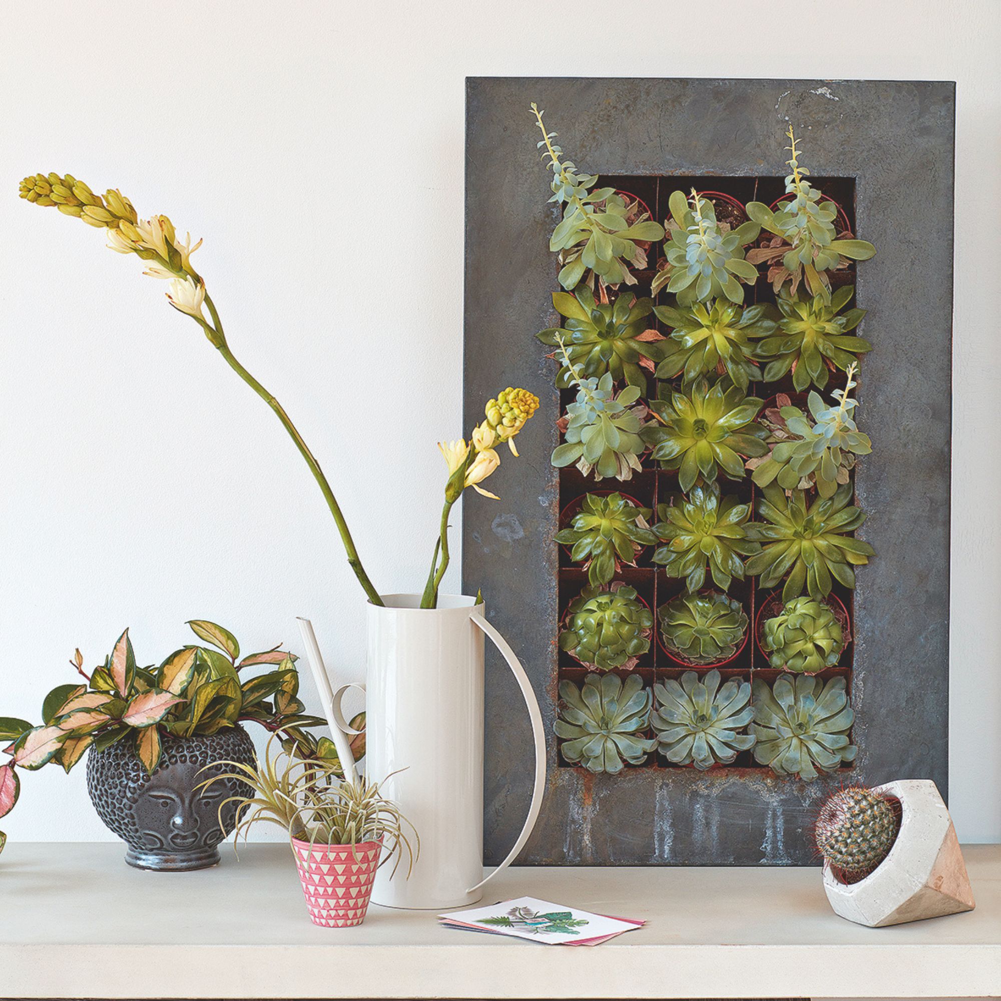 houseplants on wall planter