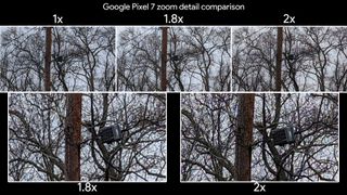 Comparing 1x, 1.8x, and 2x zoom levels on a Google Pixel 7