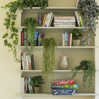 book shelf with books plants and pots