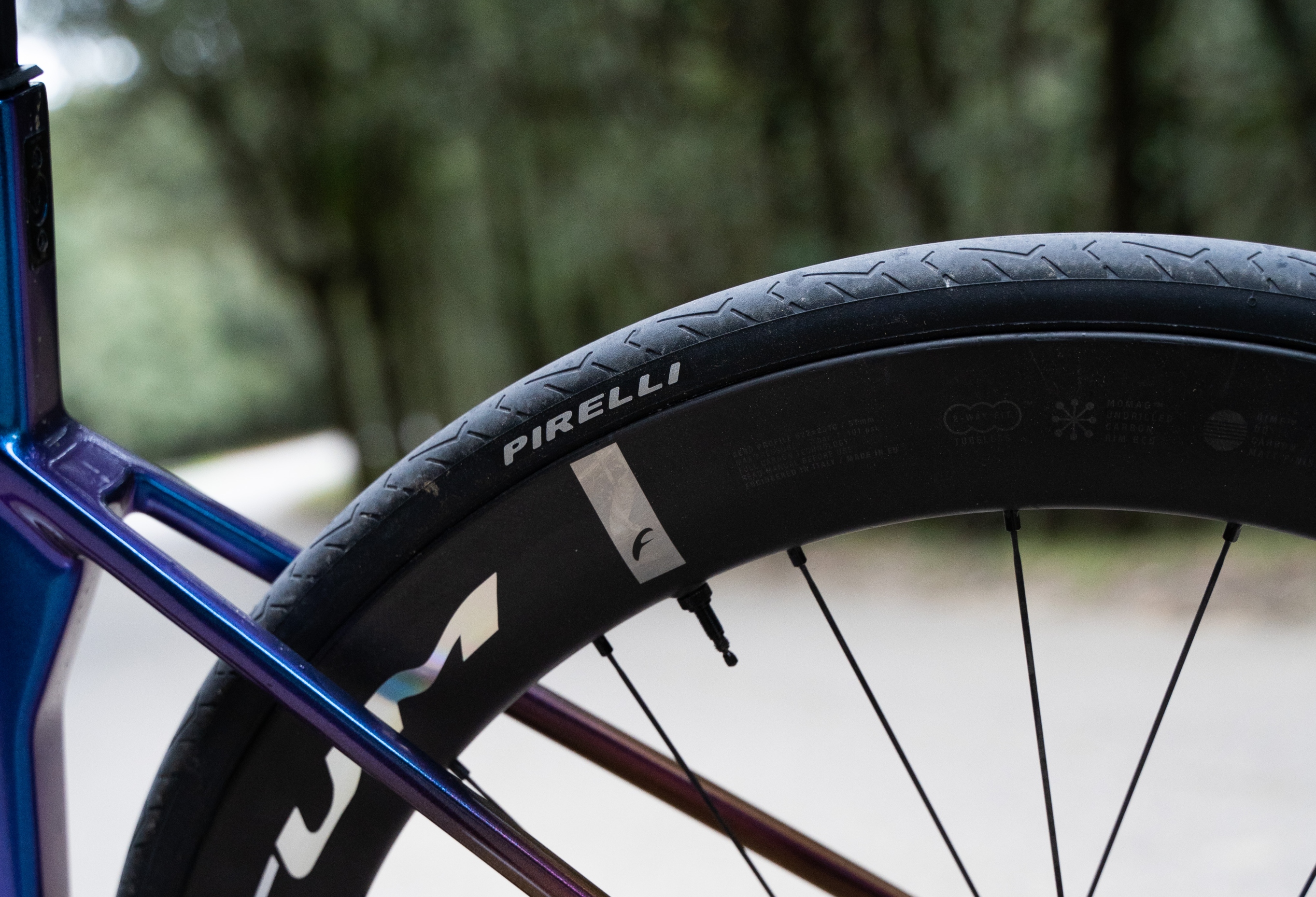Pirelli Cinturato Evo TLR