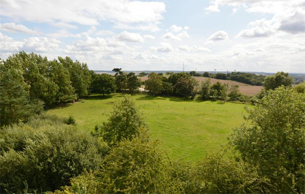 equestrian properties